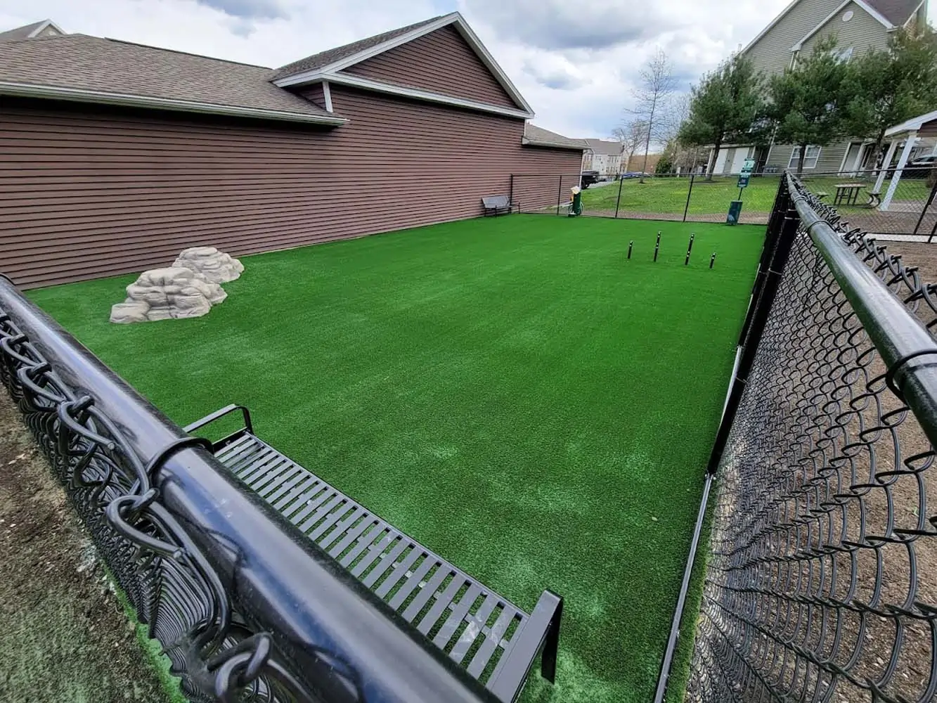 Pet-Friendly Artificial Turf Installation in Pinehurst, TX